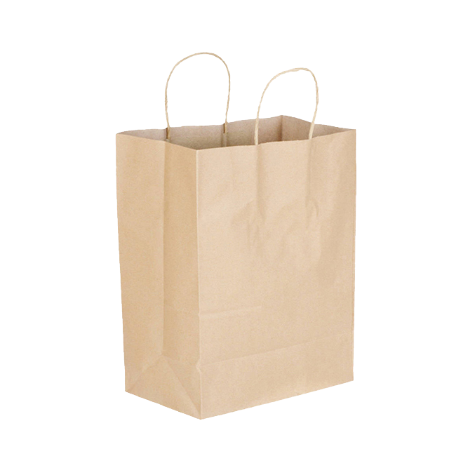 PAPER  BAG TWISTED HANDLE LARGE